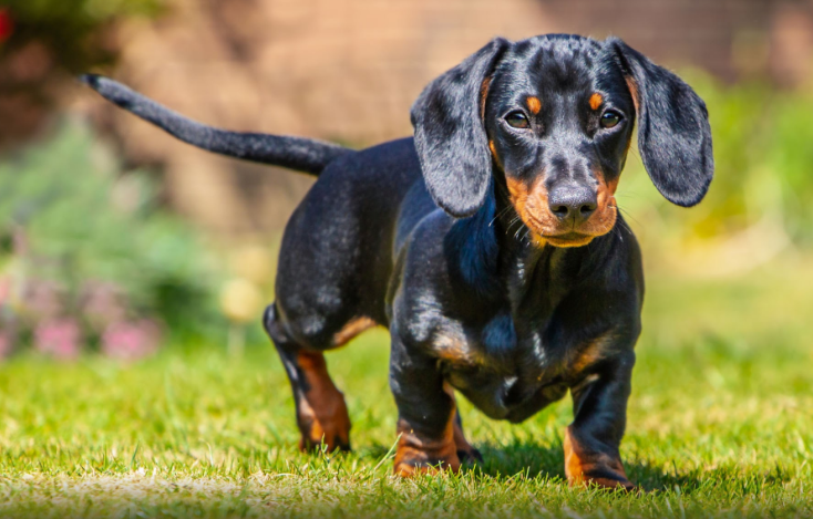 Screenshot 2025 11 07 183834