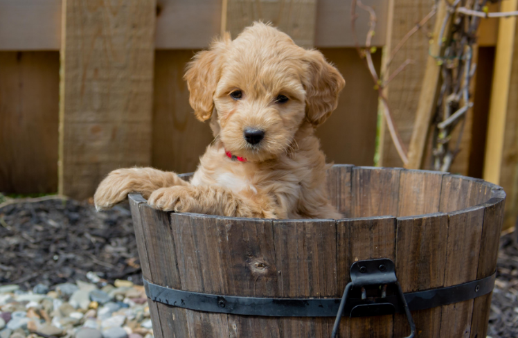 Screenshot 2025 11 07 184031