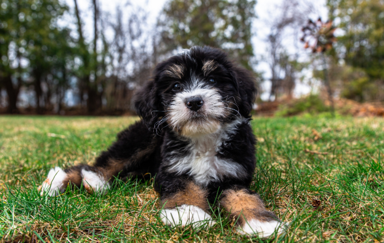 Screenshot 2025 11 07 184334