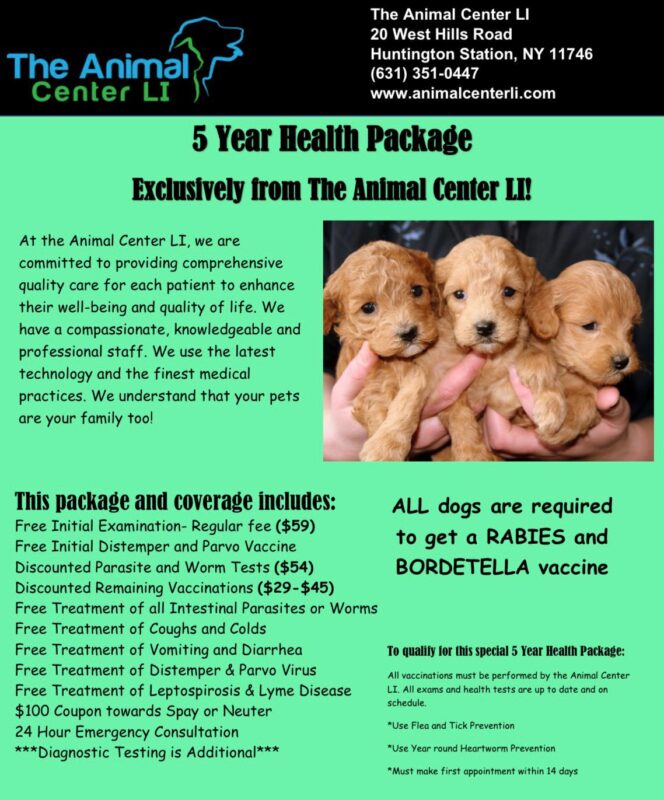 WhatsApp Image 2026 01 04 at 11.01.23 AM